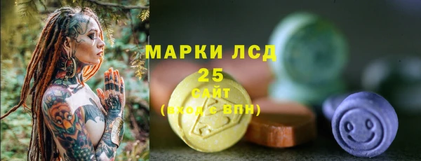 прущие грибы Магас