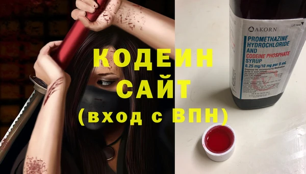 дурь Лабытнанги